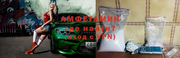 прущие грибы Алзамай
