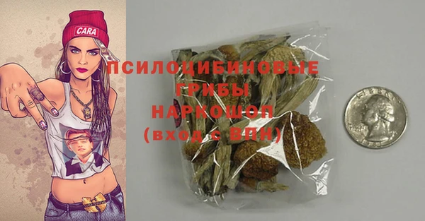 мдпв Абдулино