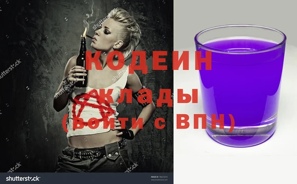 прущие грибы Алзамай