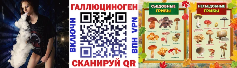 купить наркоту  KRAKEN ссылка  Галлюциногенные грибы мухоморы  Щёкино 